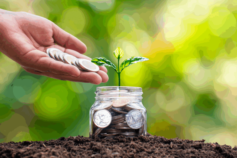 Seedling being watered with coins to show business growth