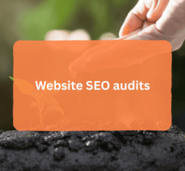 Website SEO audits